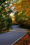 15th Oct 2022 - Colorful Road