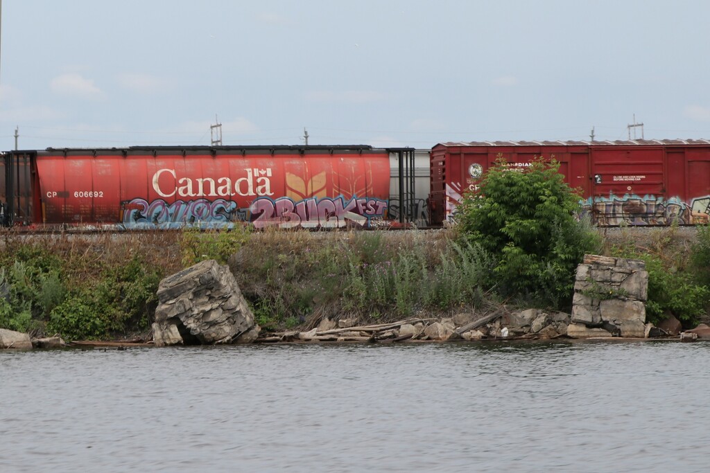 Rail car graffiti by jdraper
