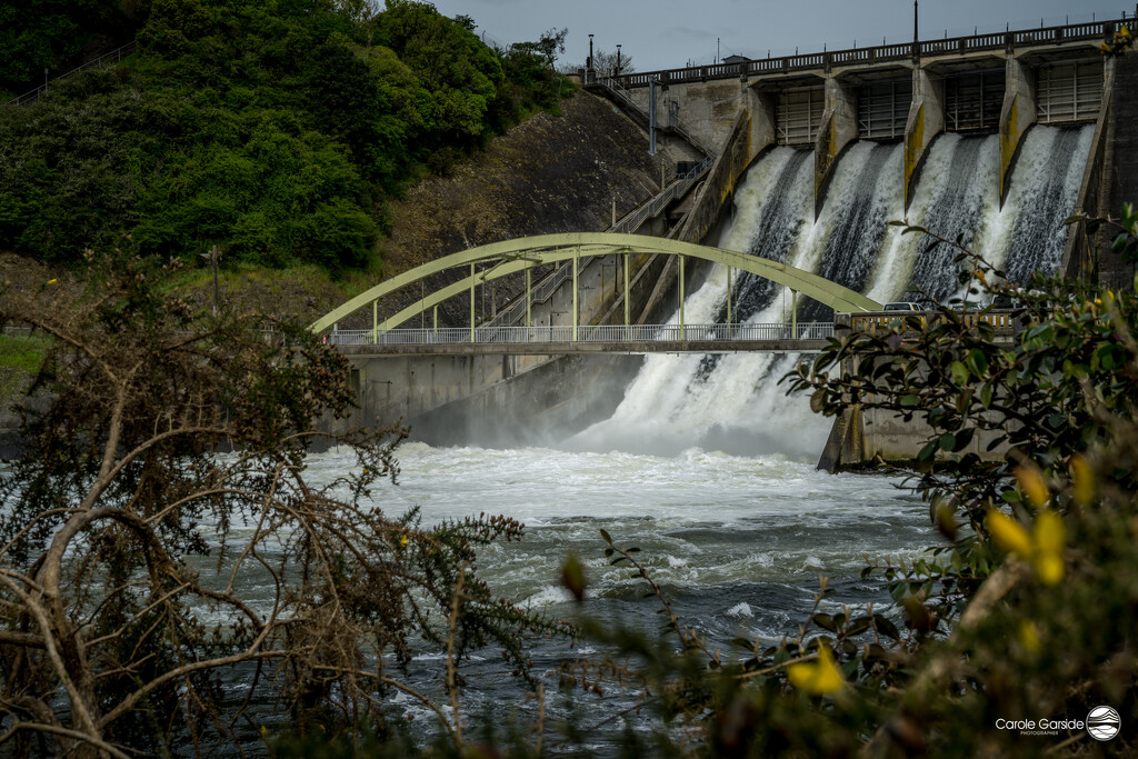 Karapiro Dam by yorkshirekiwi