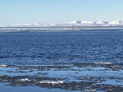 16th Oct 2022 - Ice Floes