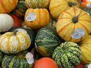 14th Oct 2022 - Pumpkins for Sale