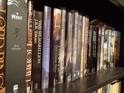 16th Oct 2022 - Tolkien Shelf #1