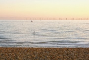 14th Oct 2022 - Brighton Beach 