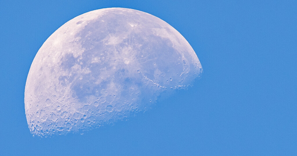 This Morning's Moon Shot! by rickster549