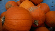 8th Oct 2022 - Orange #1: Pumpkins
