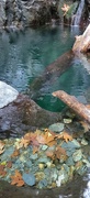 16th Oct 2022 - Clear Waters