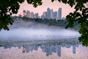 16th Oct 2022 - Mist on Deer Lake