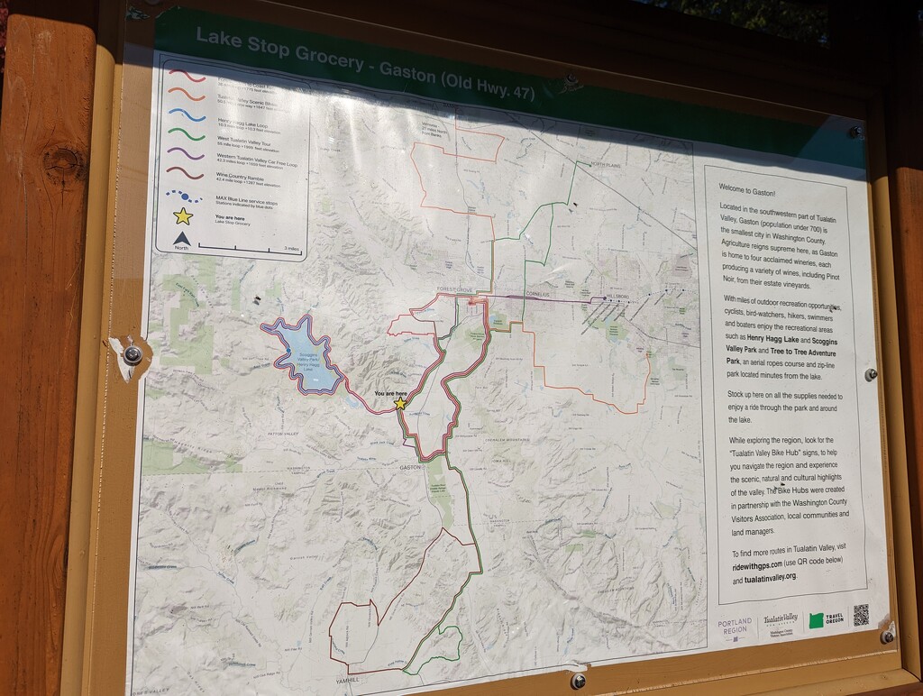 Hagg Lake Trails I never Knew by burkch