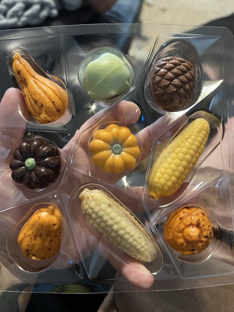 Autumn Harvest chocolates.  by nicoleratley