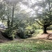 Beechwood park  by stuart46