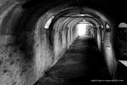 17th Oct 2022 - The Tunnel