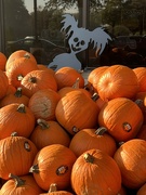 17th Oct 2022 - Jack ‘O Lanterns at the grocery