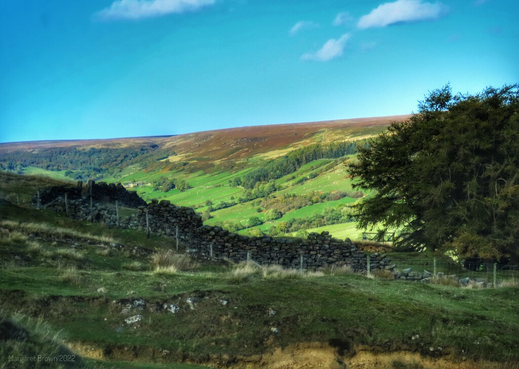 Coming down into Rosedale by craftymeg