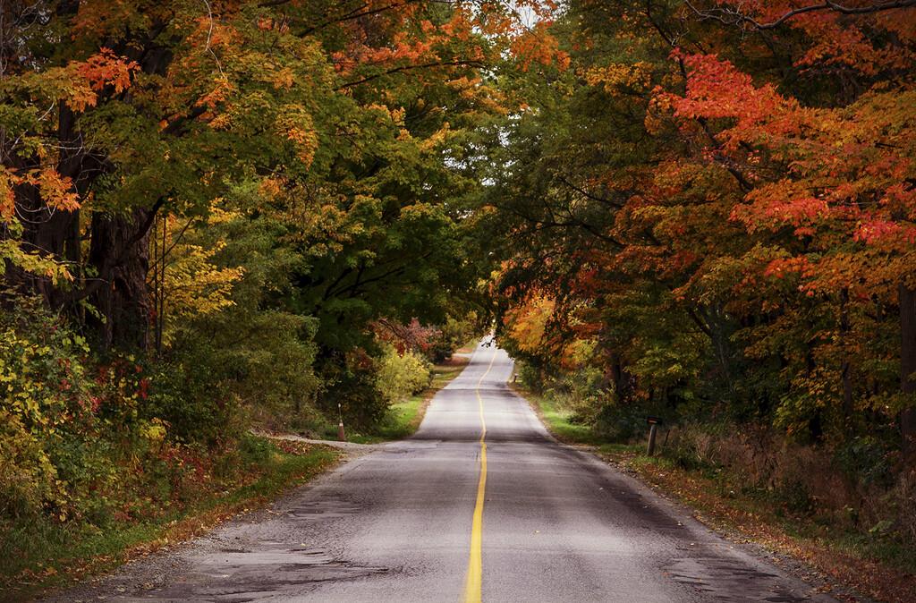 Autumn Road by pdulis