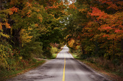 17th Oct 2022 - Autumn Road