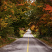 Autumn Road by pdulis