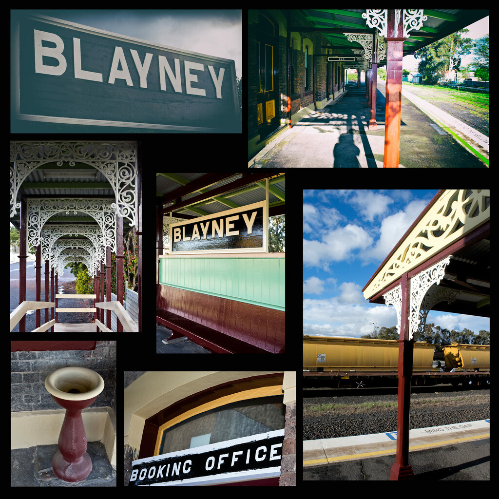 Blayney Station 2 by annied