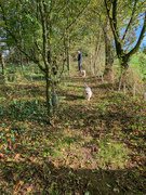 18th Oct 2022 - Walking through the gardens at Hugglepit