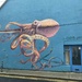 octopus by cam365pix