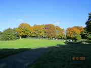 18th Oct 2022 - Autumn trees in the Park, Cut Wood.
