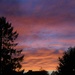 An unusually dramatic sunset from our house last night by anitaw
