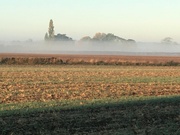 18th Oct 2022 - Another misty morning 