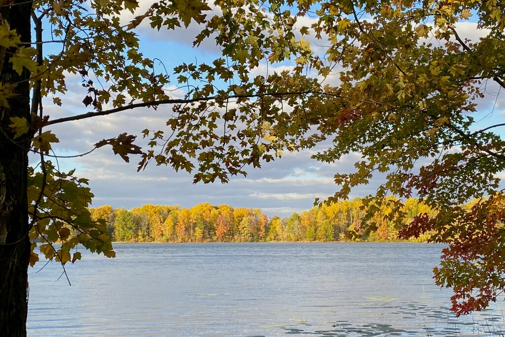 Back to Glendale Lake for more pictures by tunia