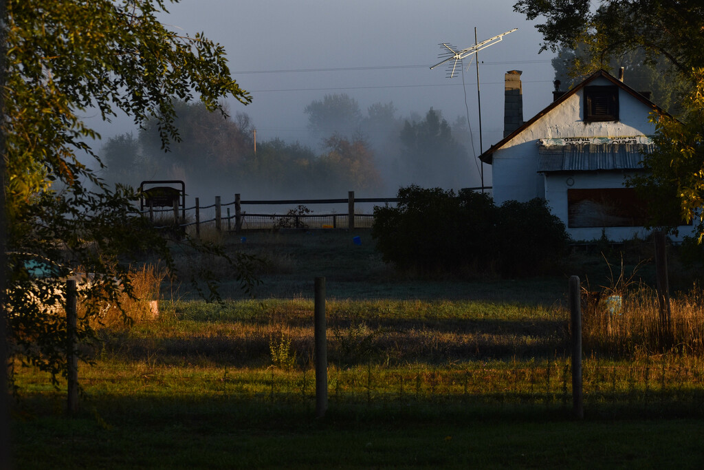 Early Morning Fog by bjywamer