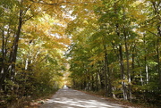 16th Oct 2022 - Fall country road
