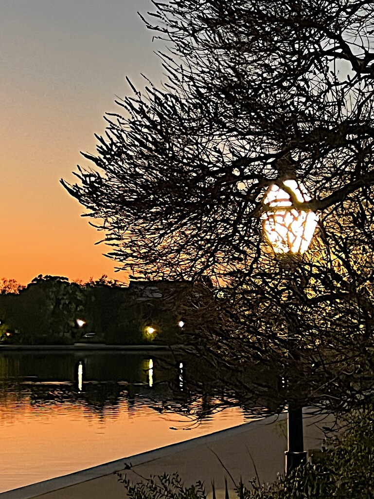 Sunset at Colonial Lake, Charleston by congaree