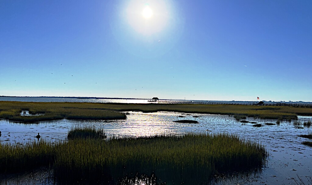Marshes overlooking Charleston Harbor by congaree