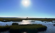 18th Oct 2022 - Marshes overlooking Charleston Harbor