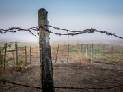 18th Oct 2022 - Barbed Wire Fence