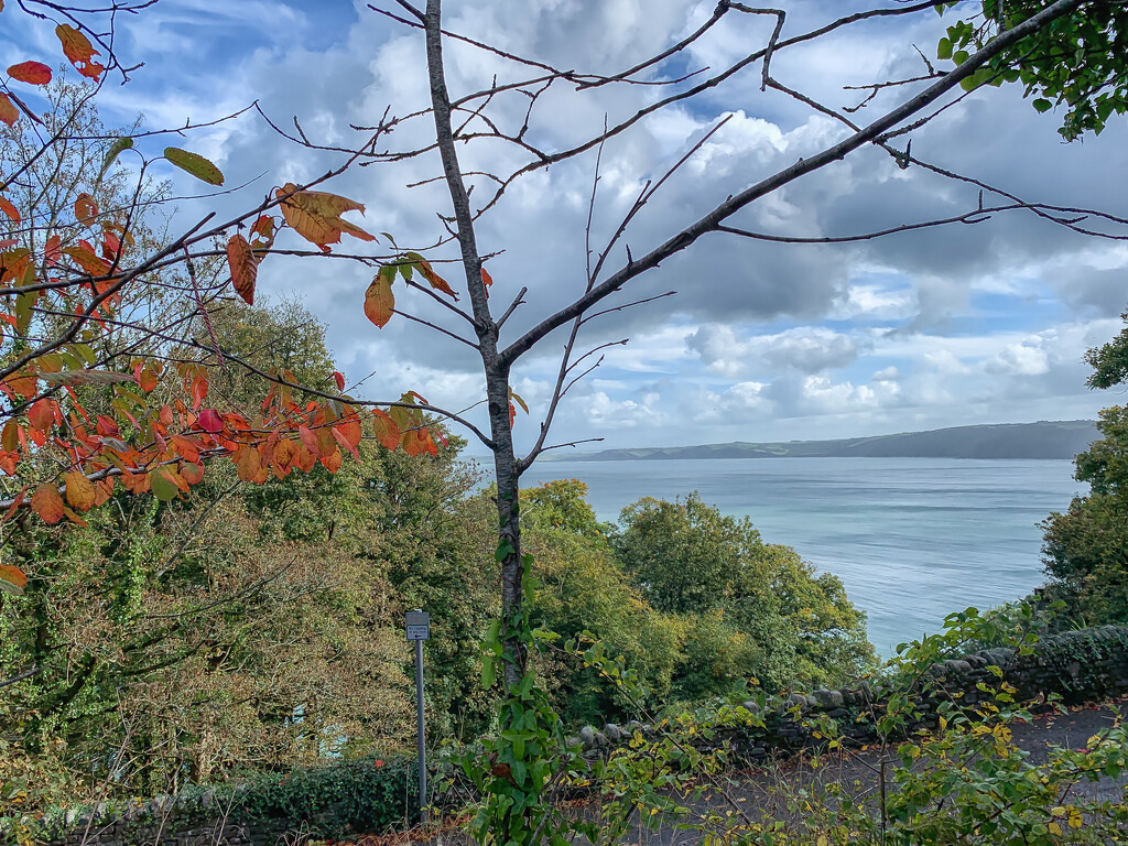 The view across the bay from Clovelly by pamknowler