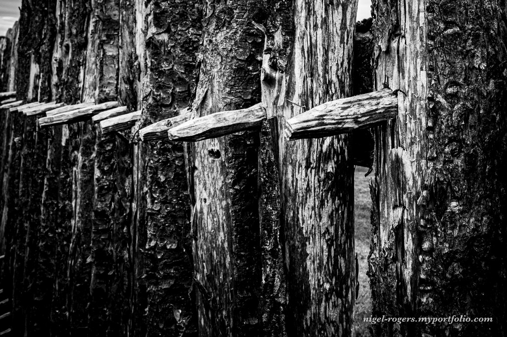 Wooden Fence by nigelrogers