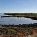 Another picture in beautiful weather - the Thames in Kent coast by 365jgh