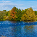 autumn lake by cam365pix