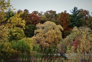 17th Oct 2022 - Fall Colors In The Park