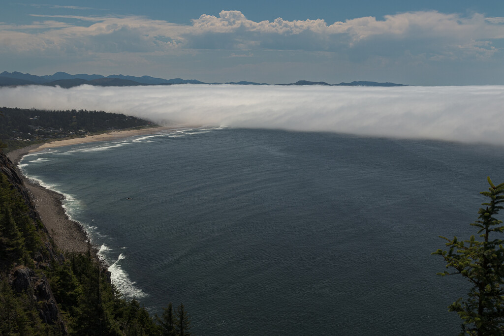 Somewhere Along the Oregon Coast by swchappell