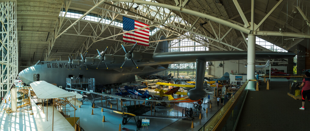 The Spruce Goose by swchappell