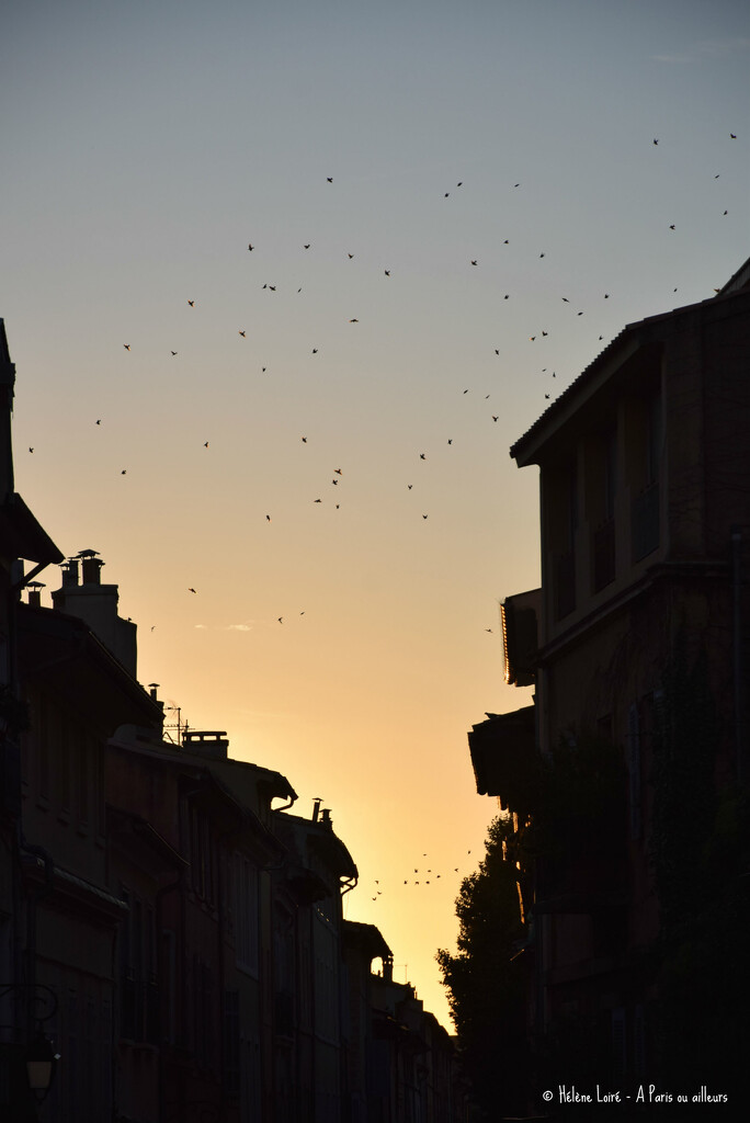 end of a day in Aix en Provence by parisouailleurs