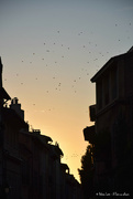 18th Oct 2022 - end of a day in Aix en Provence