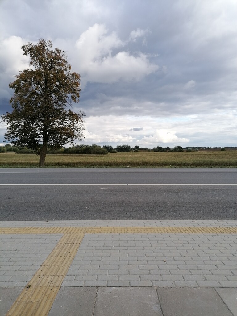waiting for bus in Šiauliai~ by zardz