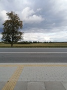 13th Oct 2022 - waiting for bus in Šiauliai~