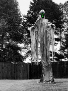 20th Oct 2022 - Green-Eyed Monster