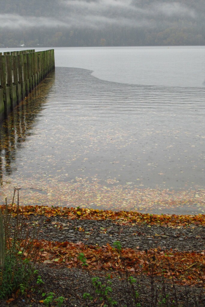 beach water water pier by anniesue