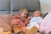 20th Oct 2022 - Sister and Brother (Willow and Alfie)