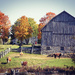 Fall on the Farm by pdulis