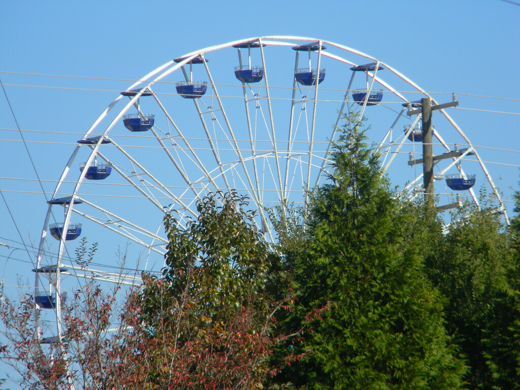 Blue Ferris Wheel at State Fair  by sfeldphotos