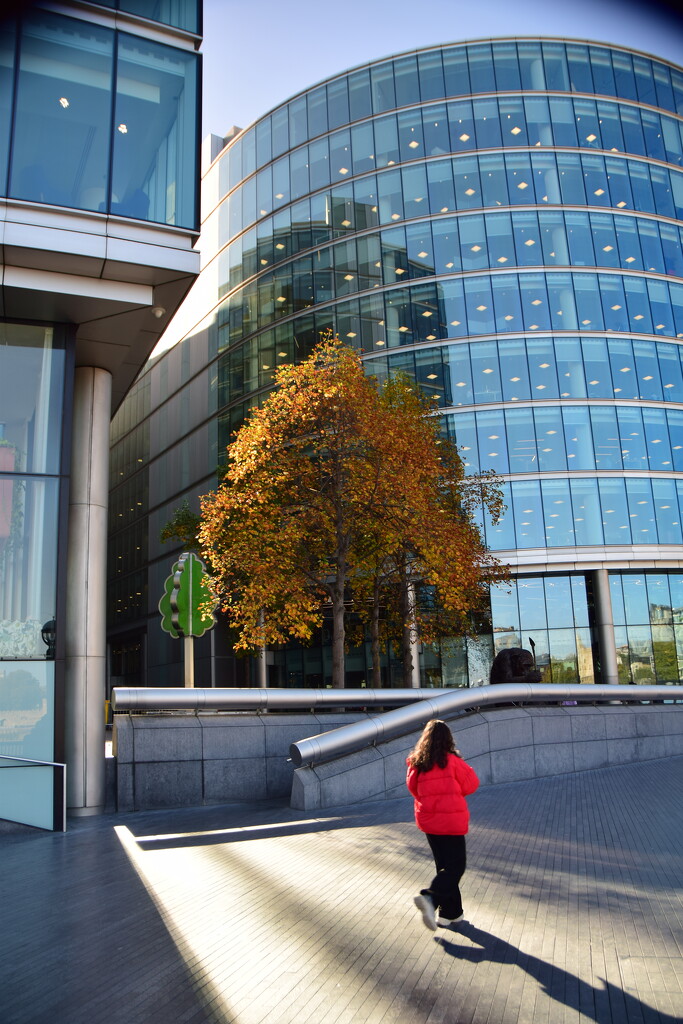 Red Coat on Queen's Walk by matsaleh